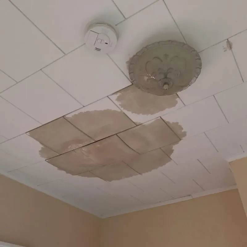 Ceiling Water Damage Repair in Spicer, MN